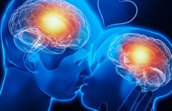 The Science of Love – How Relationships Affect the Brain